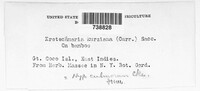 Image Associated With the Occurrence